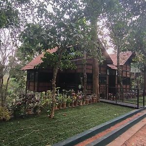 Tree House Wayanad